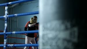Download   Stock Footage Woman Boxing With A Punching Bag Live Wallpaper
