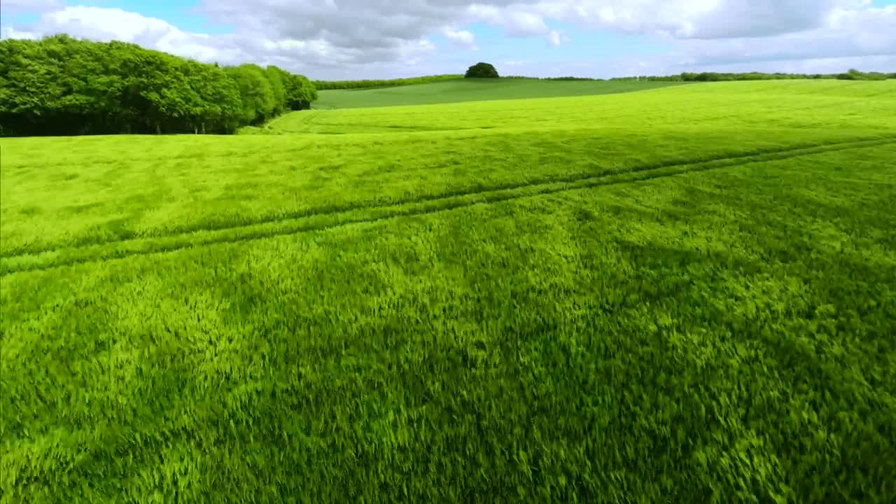 Download   Stock Footage Windswept Grasslands Live Wallpaper