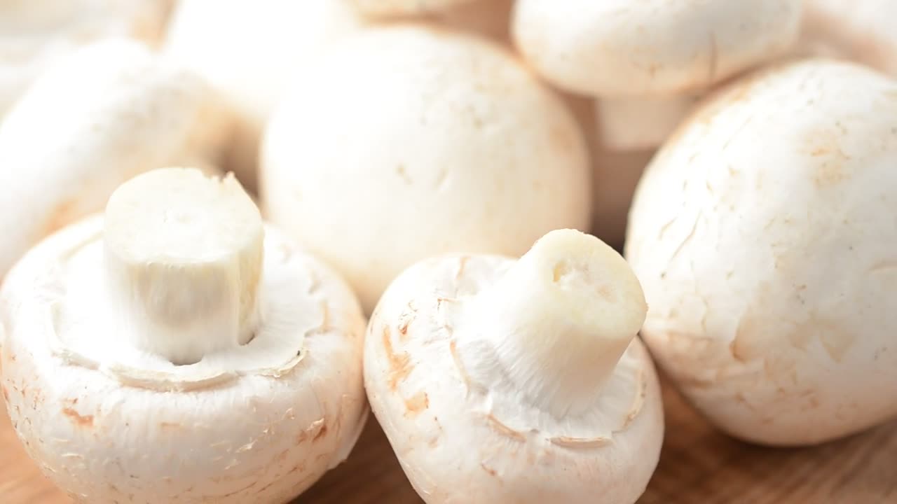 Download   Stock Footage White Mushrooms In Detail Live Wallpaper