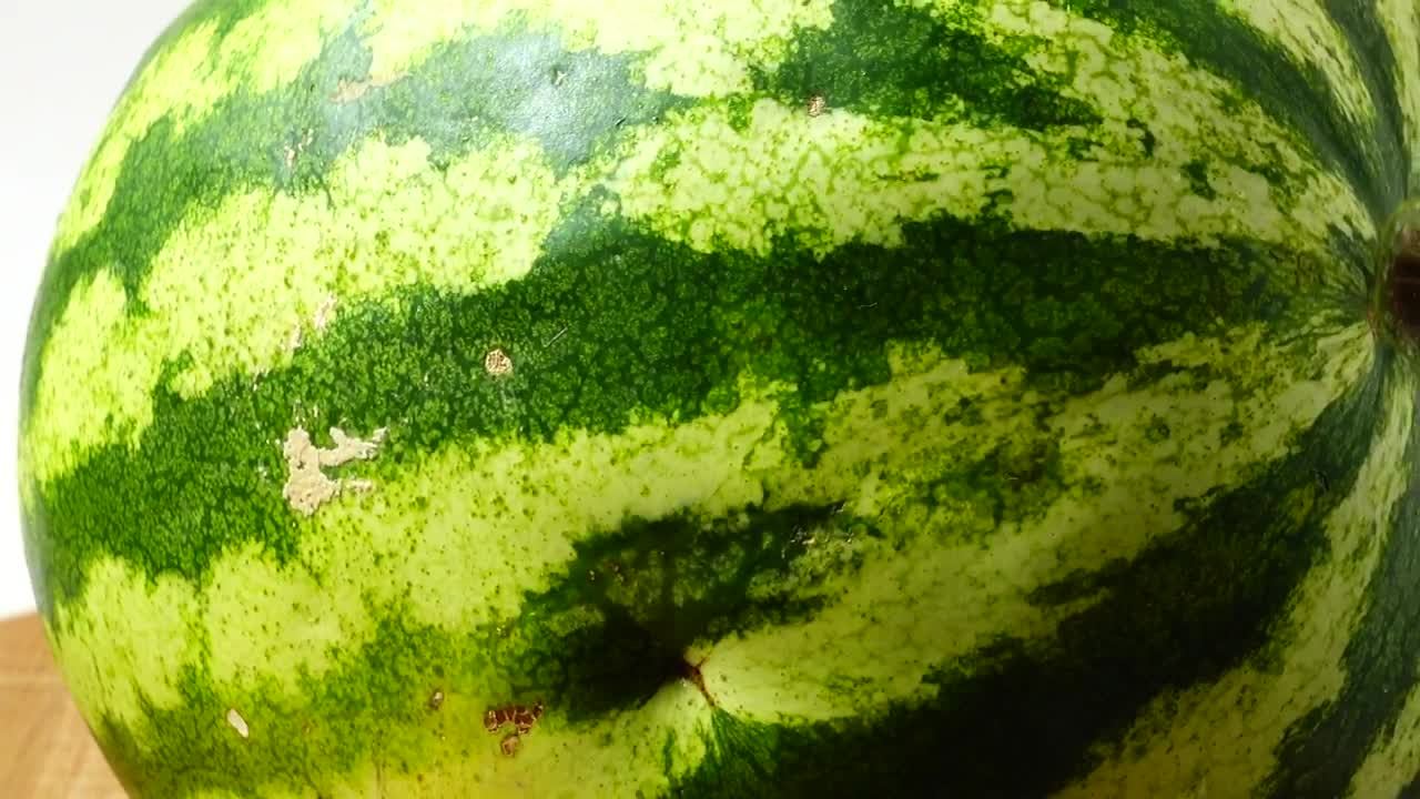 Download   Stock Footage Watermelon Spinning Live Wallpaper