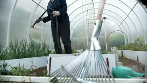 Download   Stock Footage Watering The Plant With A Hose In The Greenhouse Live Wallpaper