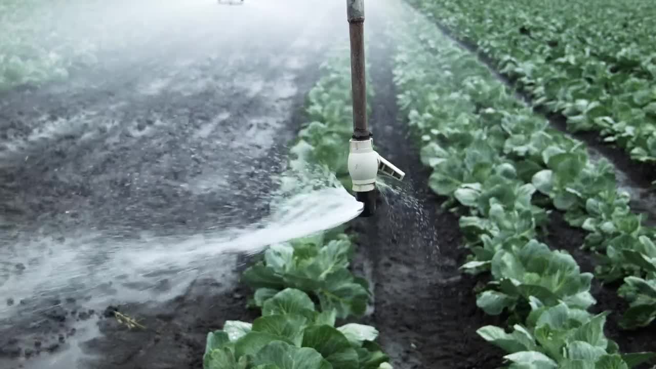 Download   Stock Footage Watering An Agricultural Field Live Wallpaper