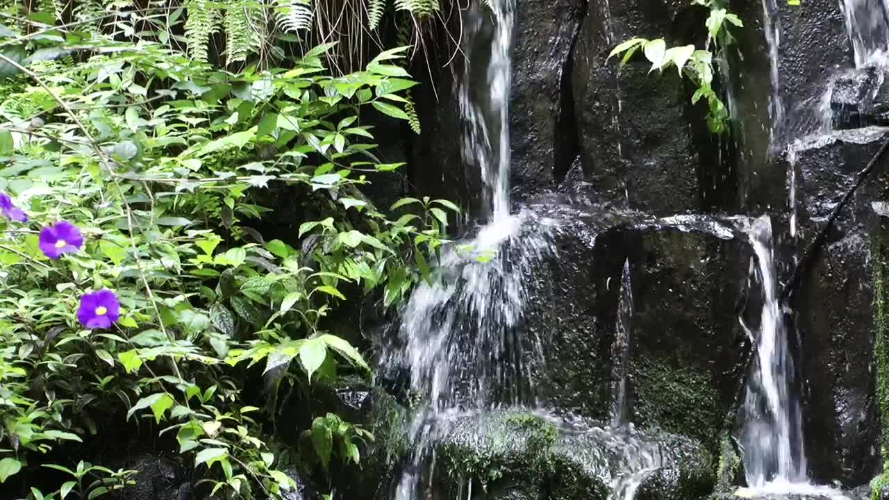 Download   Stock Footage Waterfall On The Rocks In Nature Live Wallpaper