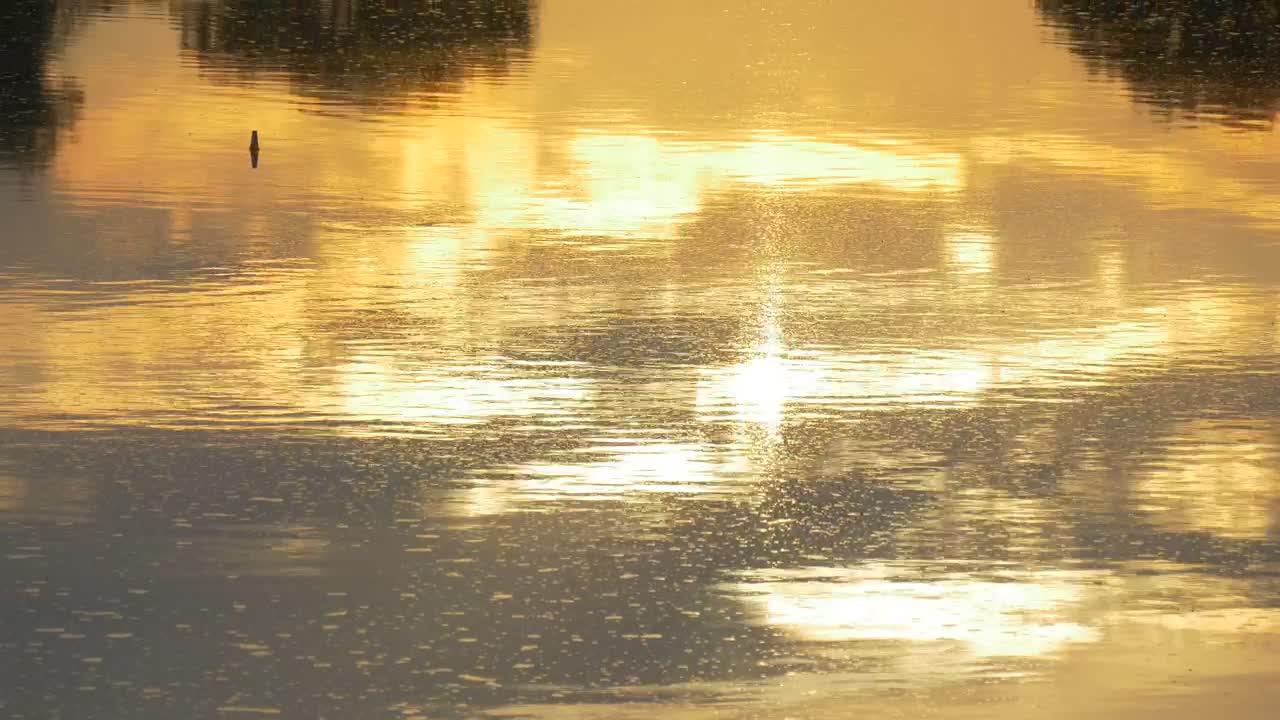 Download   Stock Footage Water With Yellow Sunset Reflection Live Wallpaper