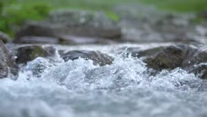 Download   Stock Footage Water Running On A Little Stream Live Wallpaper