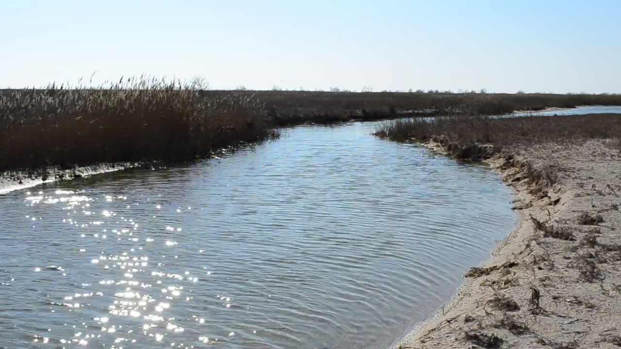 Download   Stock Footage Water Flowing Towards The Ocean Live Wallpaper