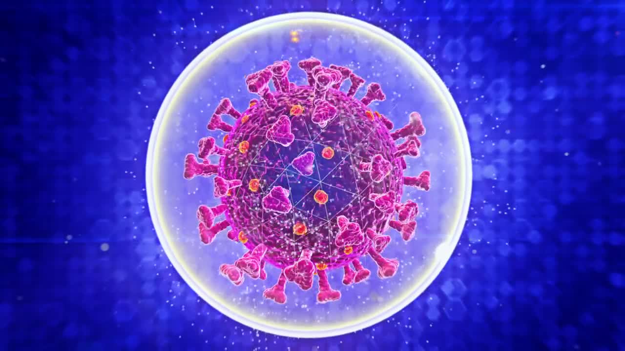 Download   Stock Footage Virtual Representation Of A Virus Live Wallpaper