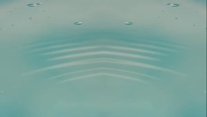 Download   Stock Footage Video Split In Half Of Ripples On The Water Surface Live Wallpaper