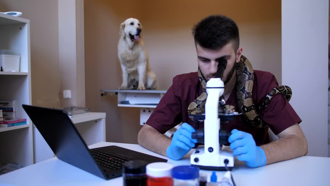 Download   Stock Footage Vet Using A Microscope In His Clinic Live Wallpaper