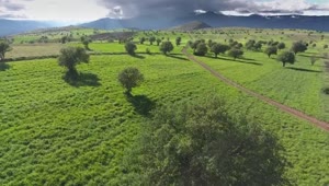 Download   Stock Footage Vast Agricultural Green Fields In The Mountain Live Wallpaper