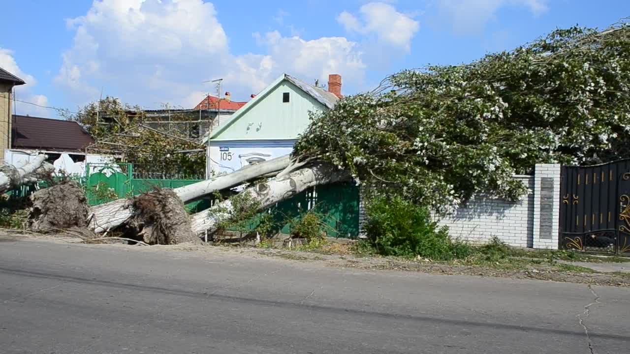 Download   Stock Footage Urban Disaster After The Hurricane Live Wallpaper