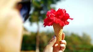 Download Stock Footage Woman Holding A Waffle Cone With Flowers Live Wallpaper Free