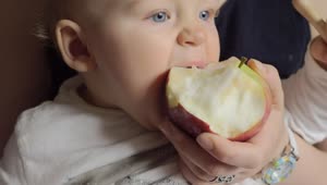 Download Stock Footage Young Baby Eating An Apple Live Wallpaper Free