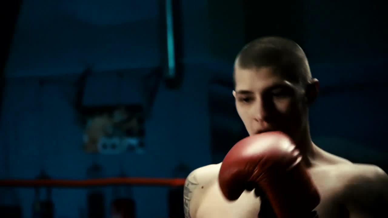 Download Stock Footage Young Man Hitting The Punching Bag Live Wallpaper Free