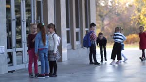 Download Stock Footage Young Students Waiting Outside Live Wallpaper Free