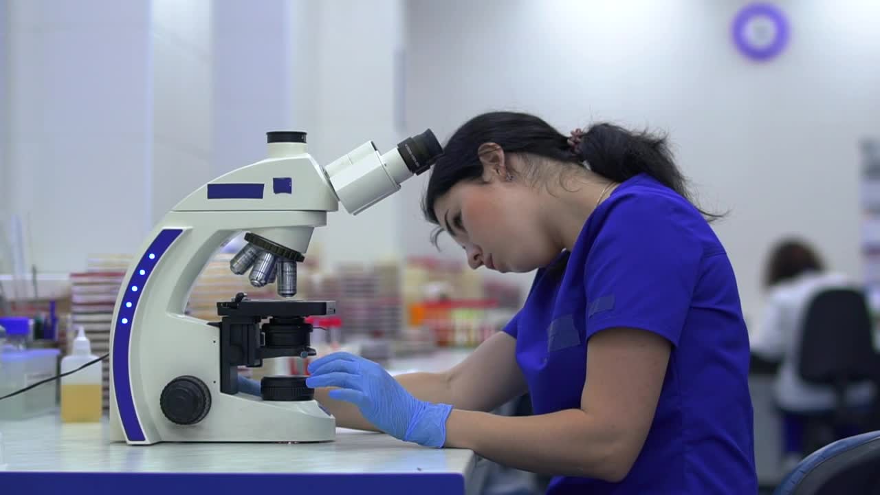 Download Stock Footage Woman Working With Microorganisms In A Laboratory Live Wallpaper Free