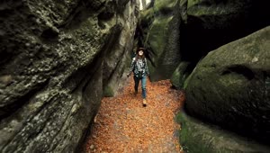 Download Stock Footage Woman Exploring A Cave In The Forest Live Wallpaper Free
