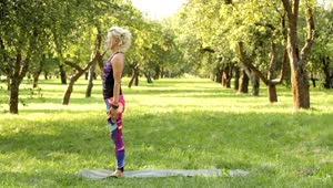 Download Stock Footage Woman Doing Yoga Between Trees Live Wallpaper Free
