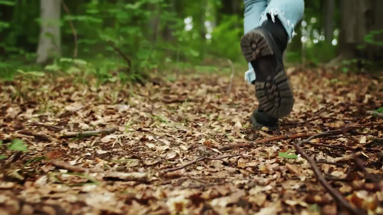 Download Stock Footage Womans Legs In Jeans Walk Through Forest Live Wallpaper Free