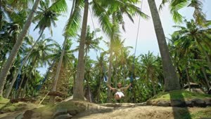 Download Stock Footage Young Woman Swings Between Palm Trees At Bali Resort Live Wallpaper Free
