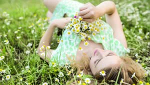 Download Stock Footage Woman Lying On The Meadow With A Bouquet Of Small Live Wallpaper Free