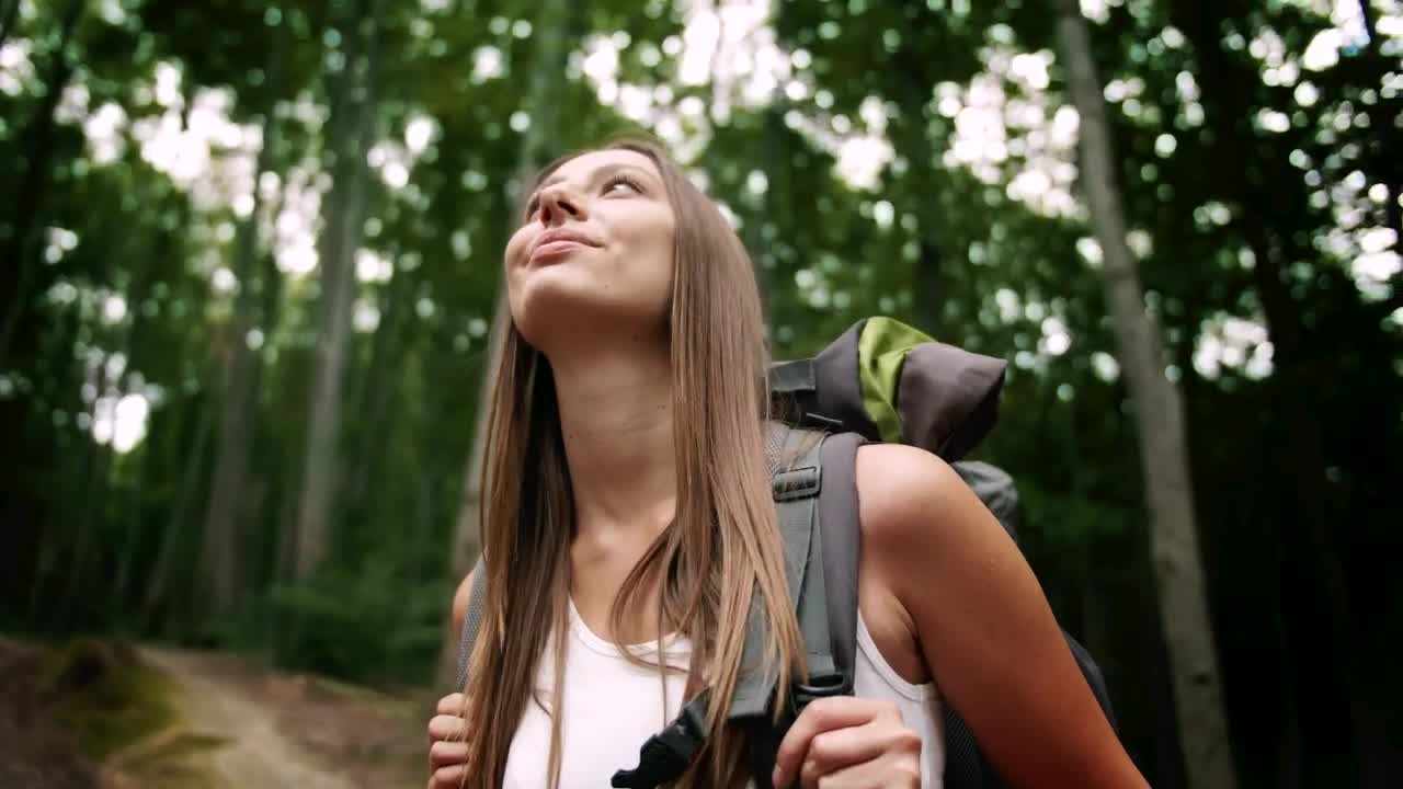 Download Stock Footage Woman Enjoys Sights And Forest Air On Hike Live Wallpaper Free