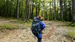 Woman Hiking Stock Photos, Images and Backgrounds for Free Download