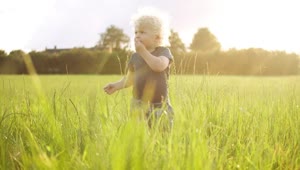 Download Stock Footage Young Boy Eating Grass Live Wallpaper Free