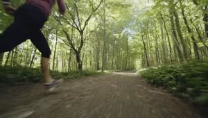 Download Stock Footage Woman Running Through A Forest Live Wallpaper Free
