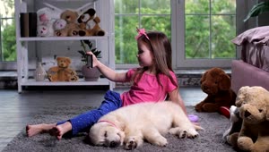 Download Stock Footage Young Child With A Puppy Taking A Selfie Live Wallpaper Free
