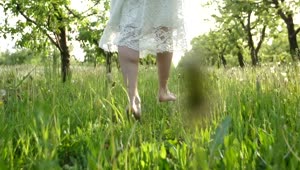 Download Stock Footage Woman Walking On Grass Live Wallpaper Free
