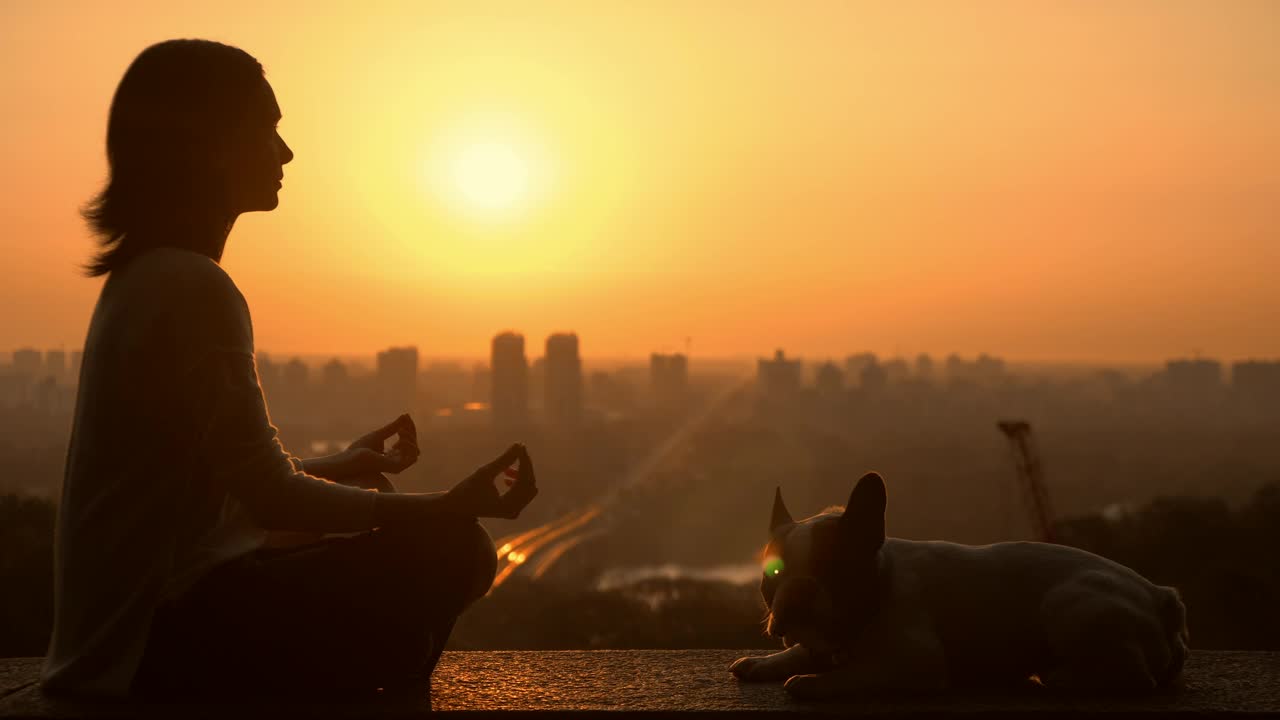 Download Stock Footage Woman Meditating With Her Dog In The Sunset Live Wallpaper Free