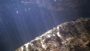 Download Underwater Rays Video Live Wallpaper