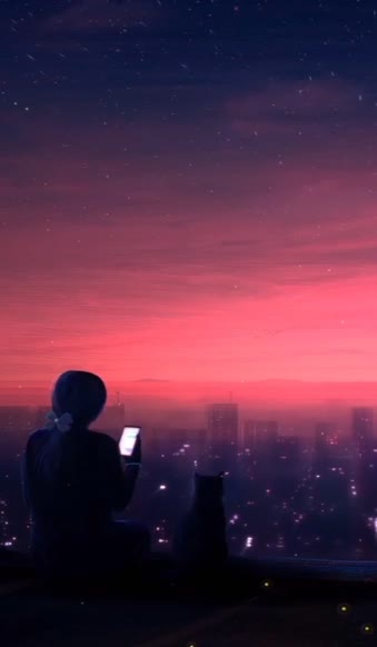Download Android  iOS iPhone  Night sky city phone live wallpaper 