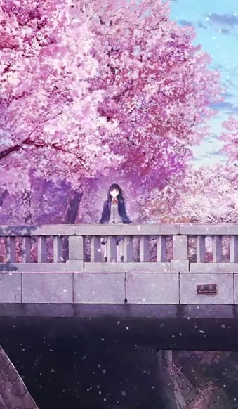Cherry Blossom Anime Wallpaper by TheOriginalFullMetal on DeviantArt
