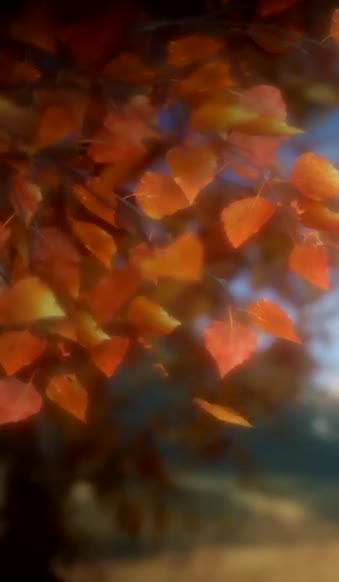 Download Falling Leaves Fall Wallpaper Iphone