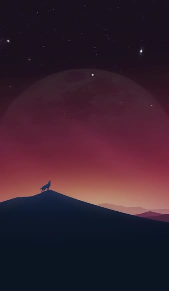 Download iPhone And Android Lonely Wolf Under The Night Sky Phone Live Wallpaper