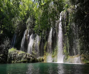 Download Beauty Of Waterfalls Live Wallpaper