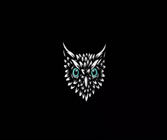 Download Owl Head Live Wallpaper