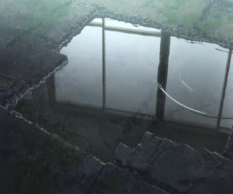 Download Puddle of Rain Live Wallpaper