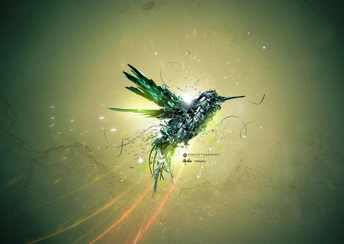 green bird art wallpaper › Live Wallpapers or Animated Wallpapers